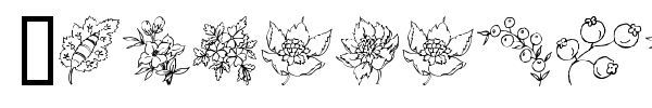 Traditional Floral Design font preview